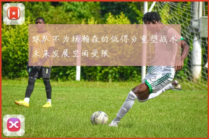 球队不为杨瀚森的低得分重塑战术未来发展空间受限