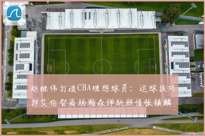 赵继伟打造CBA理想球员：运球技巧郭艾伦智商杨瀚森弹跳颜值张镇麟完美结合