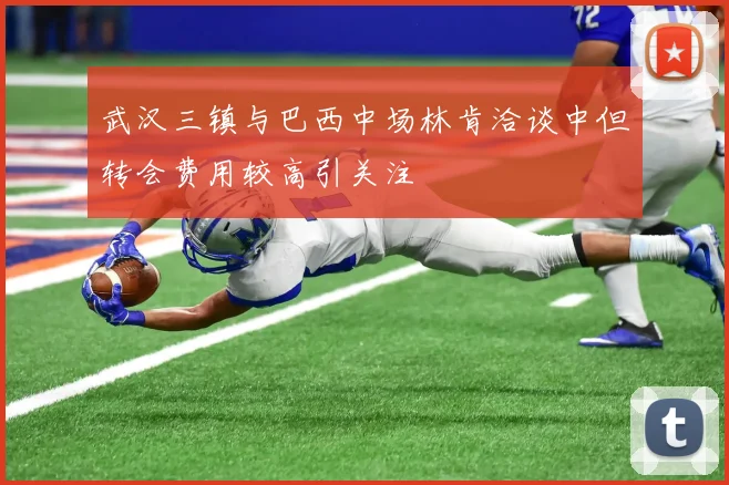 武汉三镇与巴西中场林肯洽谈中但转会费用较高引关注